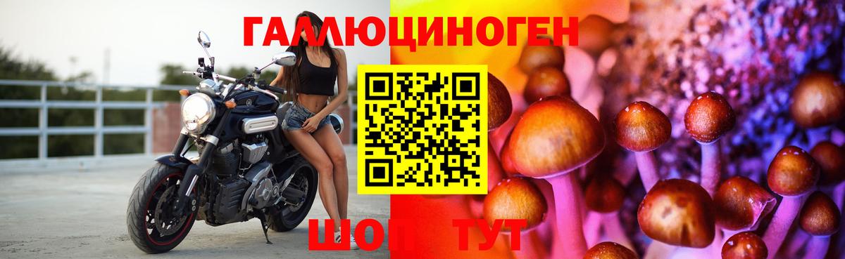 Галлюциногенные грибы ЛСД Грозный